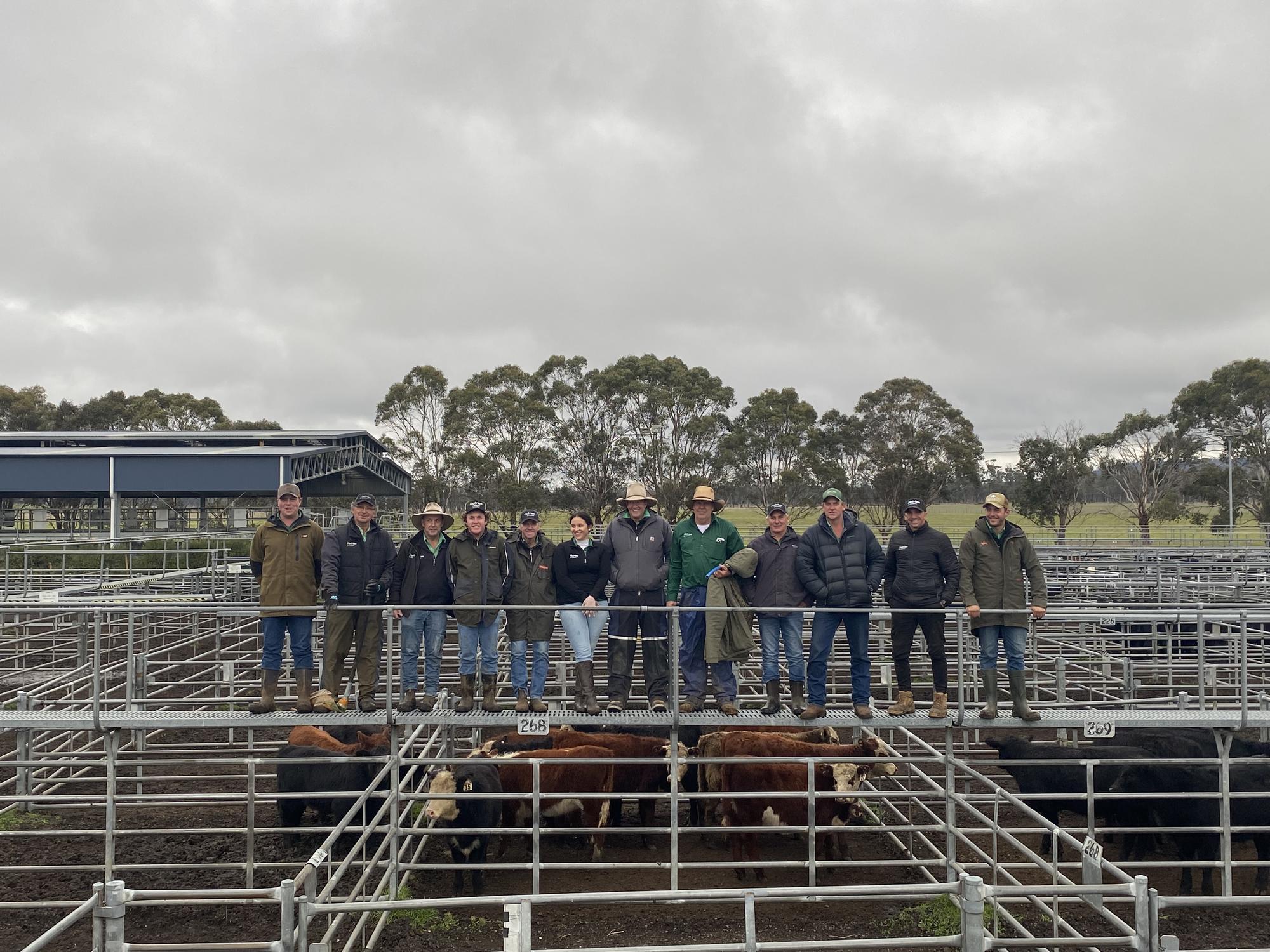 tasmania team